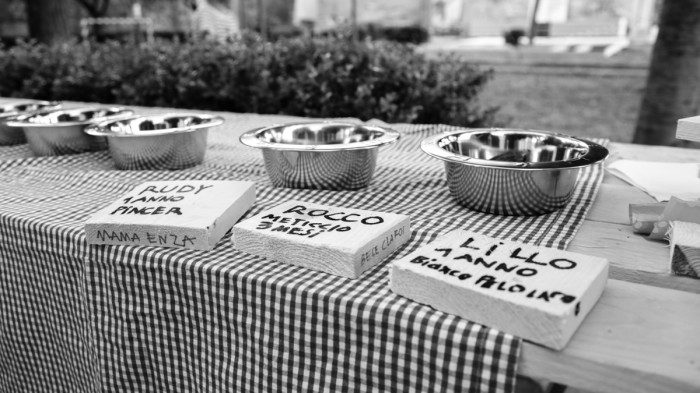 Aperitivo Canino / Giardino Ammirato