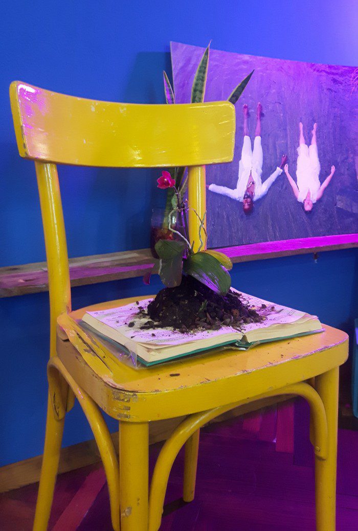 Studienkabinett Prof.Ogede