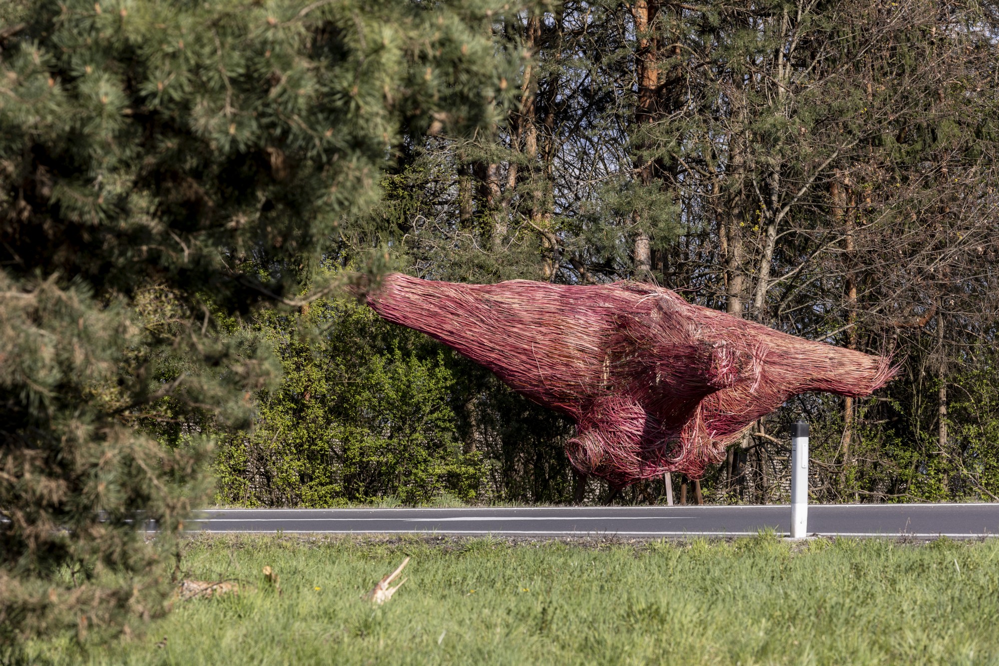 Homeostasis: between borders and flows