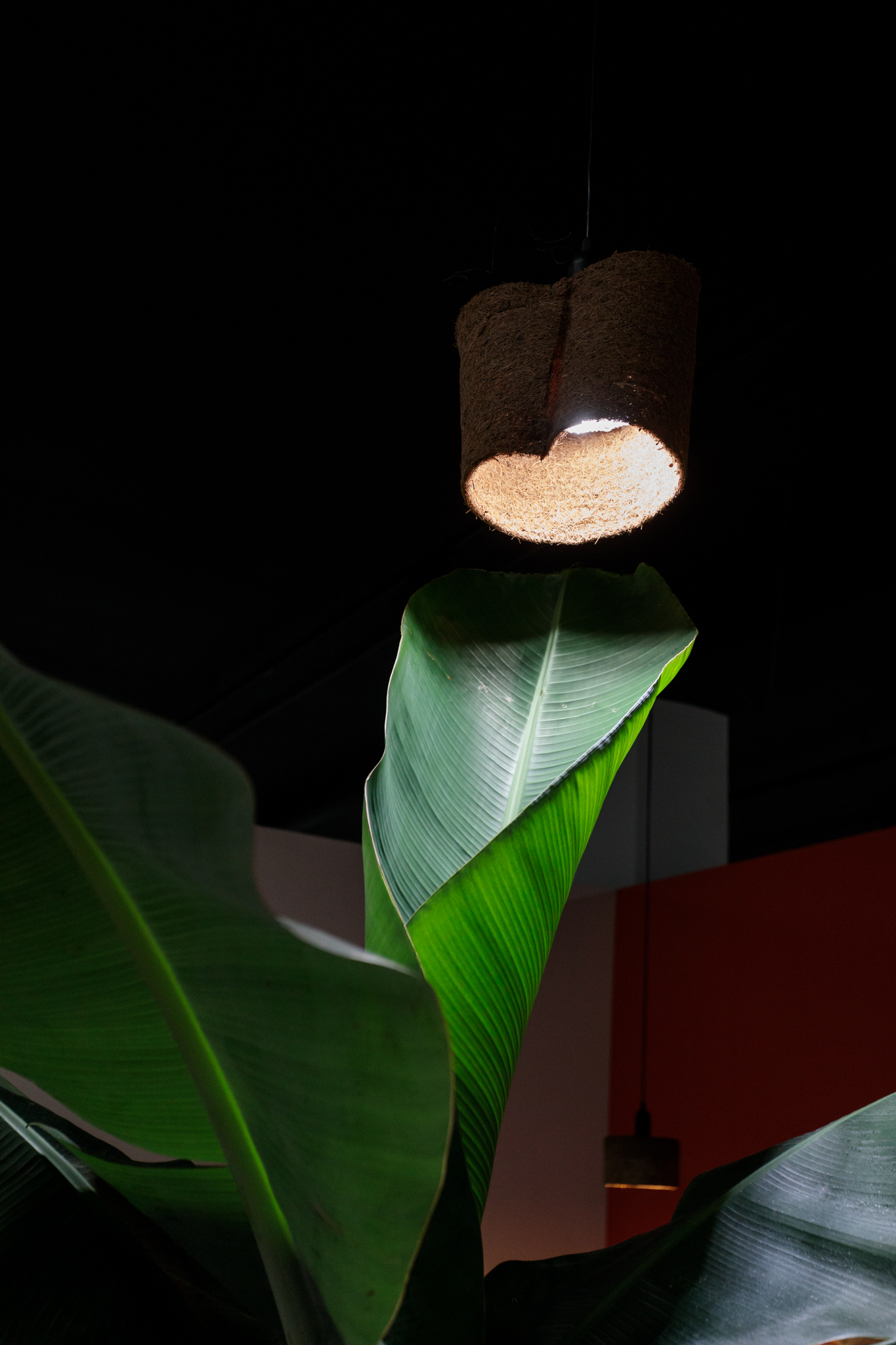 Study Cabinet / Gardening of Soul