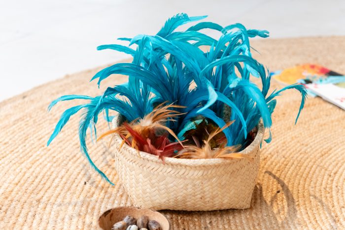 Feathers of her Childhood